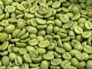 A cosa serve il Caffè Verde