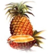 L'ananas