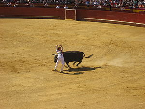 Torero! Torero! Buuu!