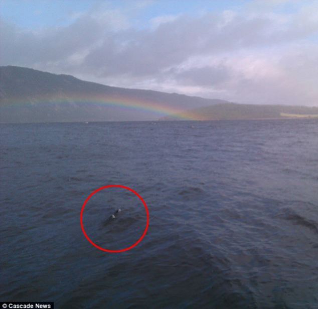 Il mostro di Lochness: un pesce gatto gigante