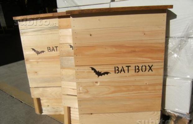 La Bat Box per i pipistrelli