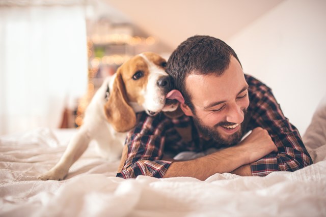 Perché il mio cane mi segue ovunque