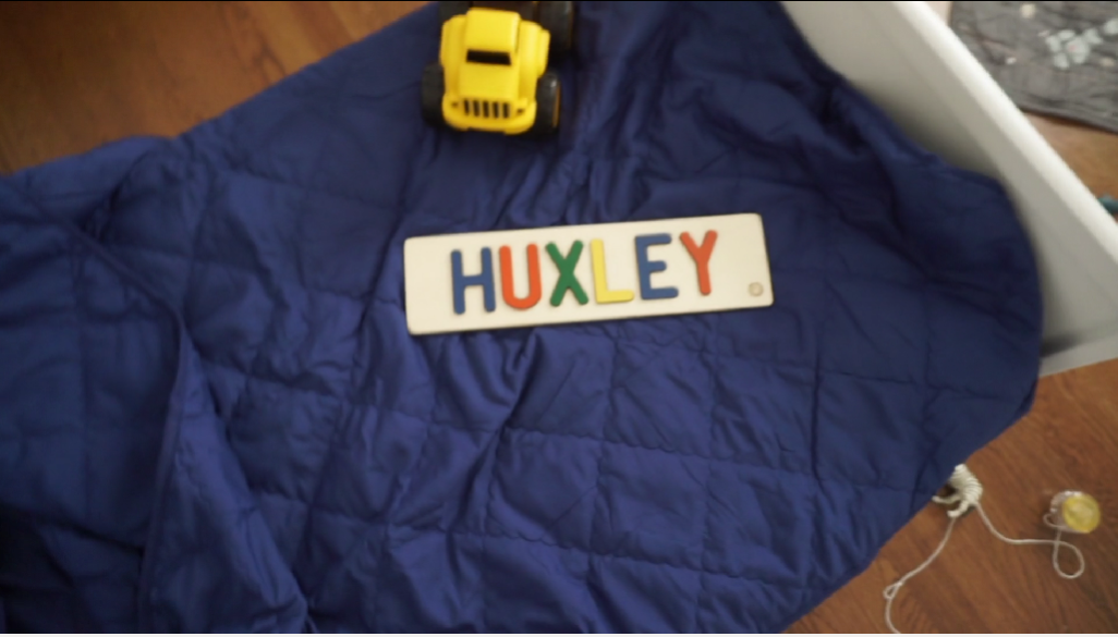 Huxley: Adottato (e restituito) per far crescere il Vlog?