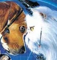 Come cani e gatti :Il destino del mondo è nelle loro zampe