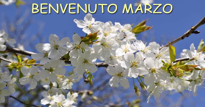 Benvenuto Marzo