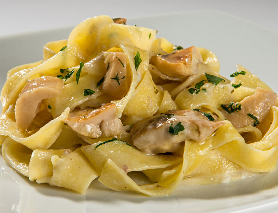 tagliatelle di funghi porcini