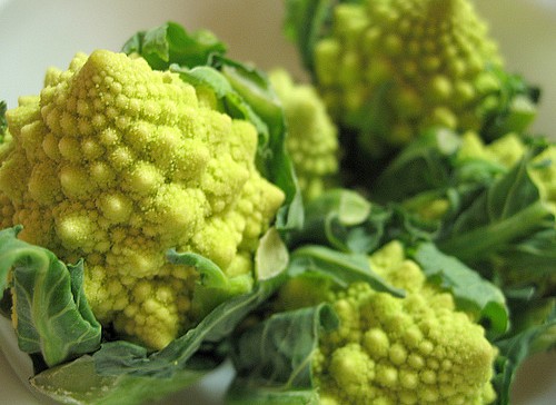 Come cucinare il cavolo romanesco