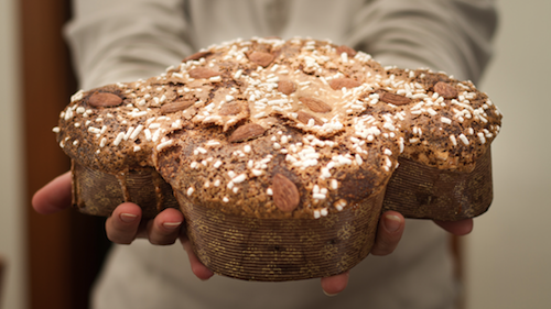 La colomba artigianale