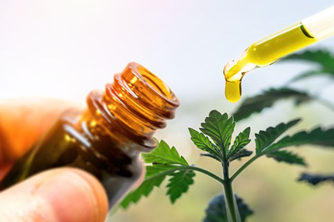 I molteplici utilizzi del CBD: alla riscoperta della cannabis