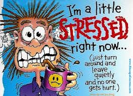 Che stress! Possiamo guarire da soli lo stress?