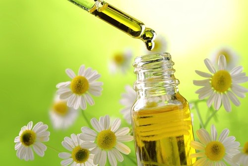 Olio di camomilla: proprietà medicinali e usi