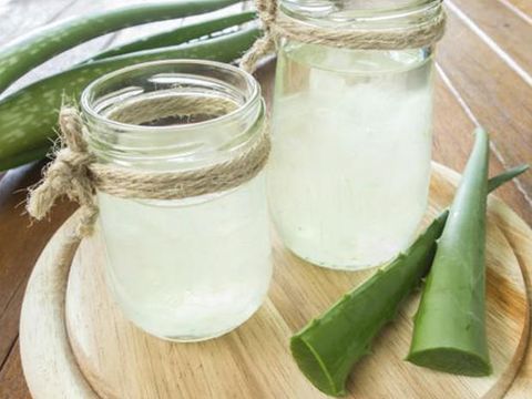 Controindicazioni dell'aloe vera