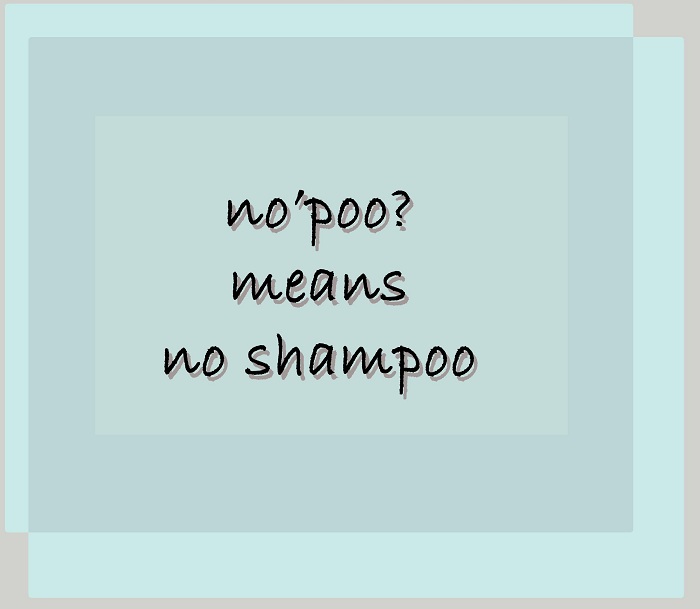 No poo: la moda no shampoo prende piede