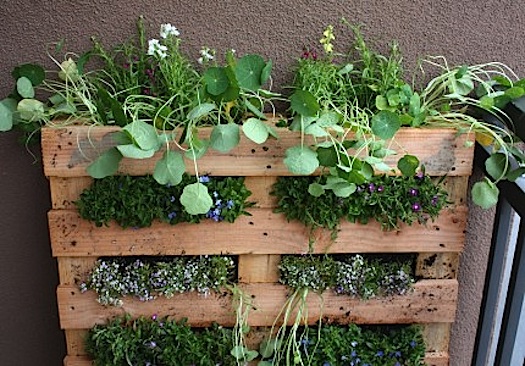 Come realizzare un giardino fatto in casa