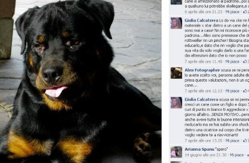 La velina bionda aggredita dal suo cane