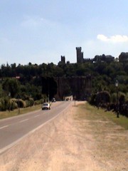 Viaggio alla scoperta dei fantastici oliveti del Garda