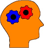 Cosa sono le reti neurali? scienza e curiosità