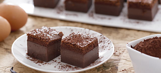 Torta al cioccolato senza forno