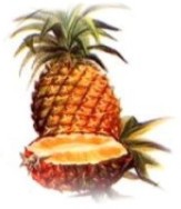 L'Ananas : nutriente, salutare e depurativo