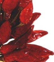 Peperoncino : fonte di salute