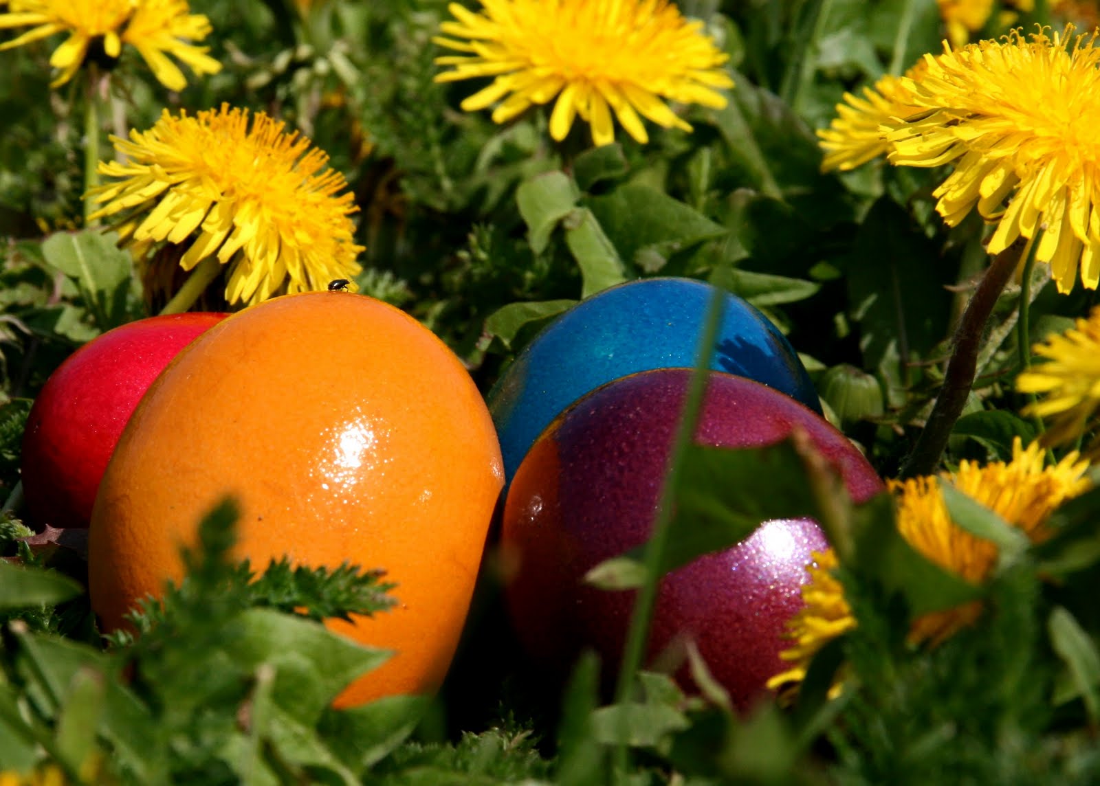 Decorare la primavera con i bambini