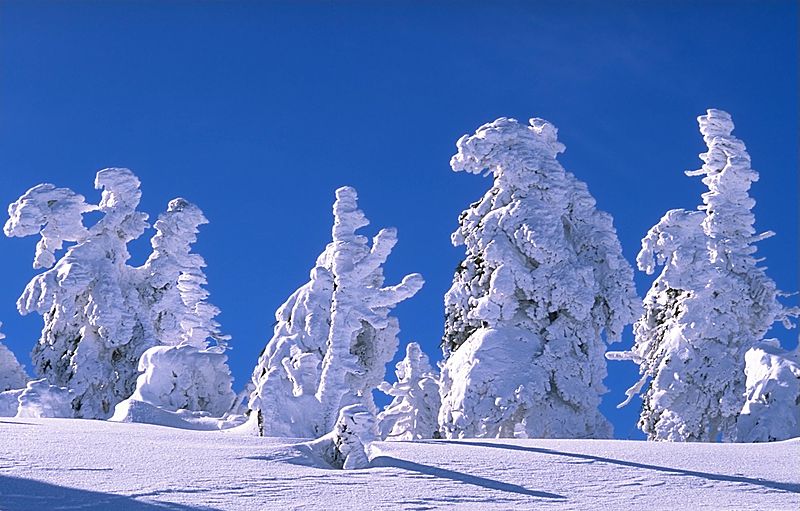 Inverno: stimoliamo i bambini a giocare e sorridere